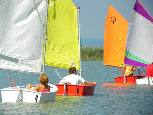 106_Opti2010