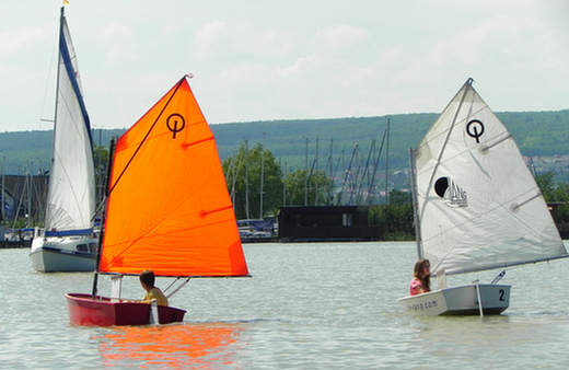 109_Opti2010