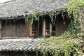 037_Wuzhen_2015