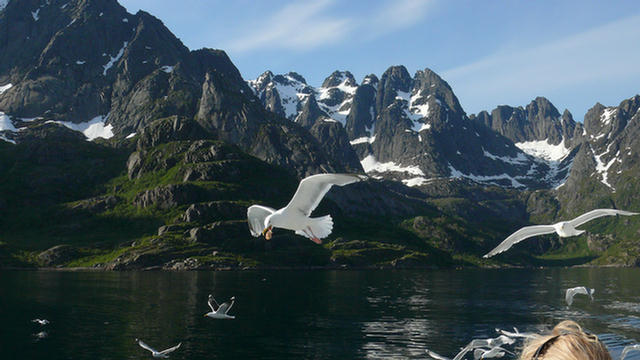 10.109a_Trollfjord_Svolvaer.08