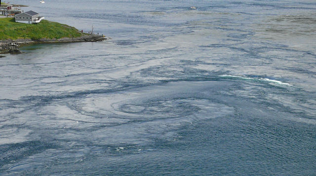 13.029_Saltstraumen.08