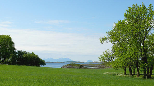 15.018_Alstahaug.08