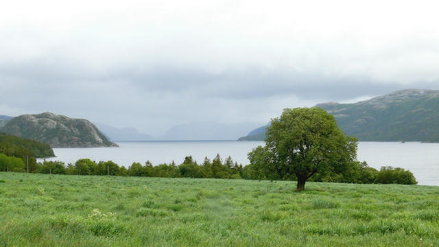 16.011_Kveina_Foldereid_Hoflesja_Namsos.08