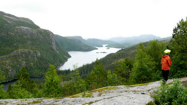 16.013_Kveina_Foldereid_Hoflesja_Namsos.08
