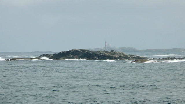 19.029_Runde_zum Papageientaucherfelsen.08