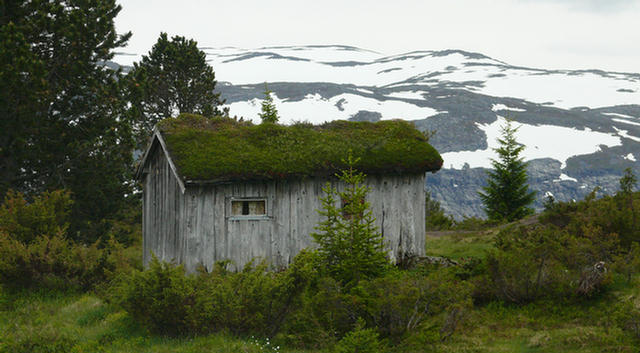 21.017_Utvik_Birkjelo_Skei_Lunde.08
