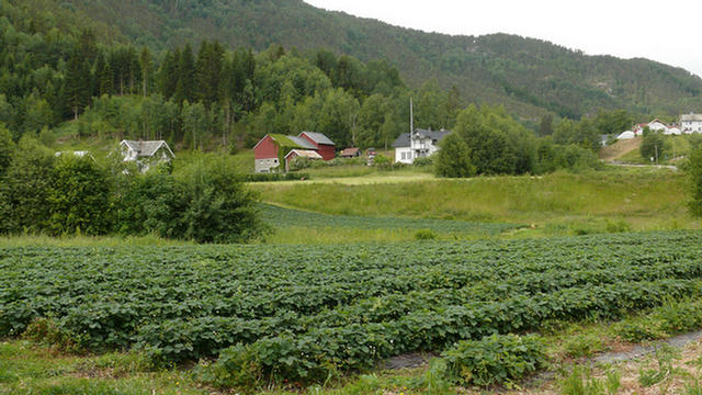 22.018b_Solvorn.08