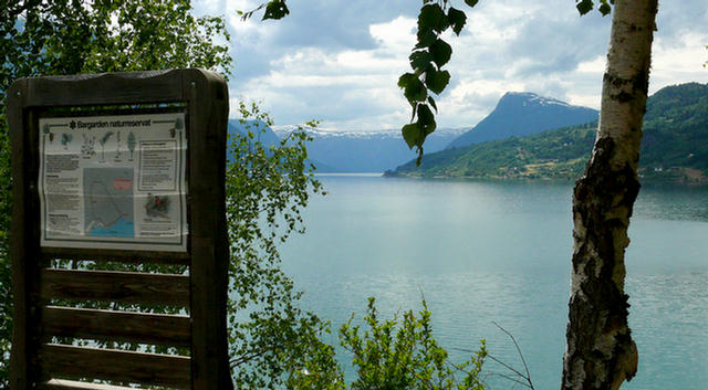 22.040_Lustrafjorden_Skjolden.08