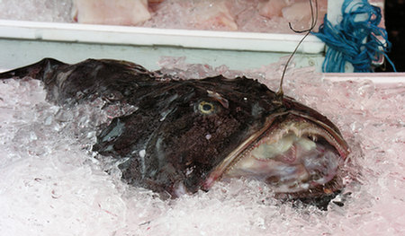 058df_Bergen_Fischmarkt