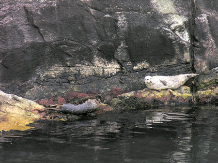 138_Stavanger-Lysefjord-Lysebotn