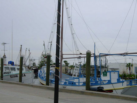 116_Tarpon-Springs