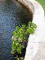264_laud