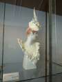 083_Meissen_Porzellanmanufaktur