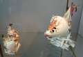 084_Meissen_Porzellanmanufaktur