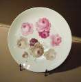 117_Meissen_Porzellanmanufaktur