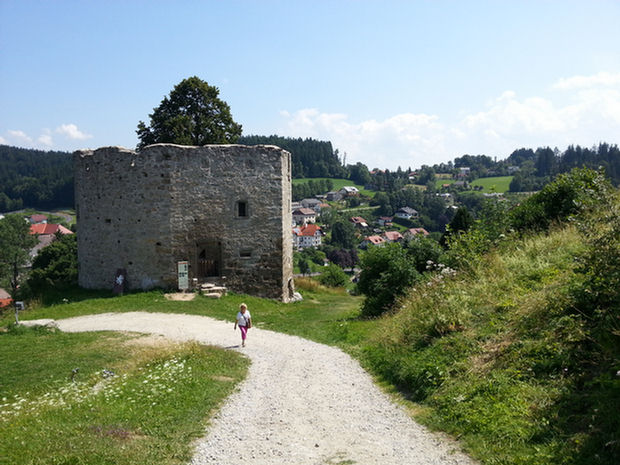 0063_Ruine Waxenberg