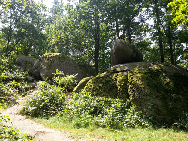0163_Blockheide Eibenstein