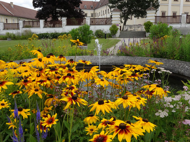 0217_Stift Geras