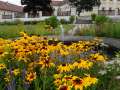 0217_Stift Geras